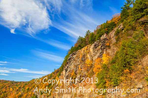 Looking Up from the Hawks Nest